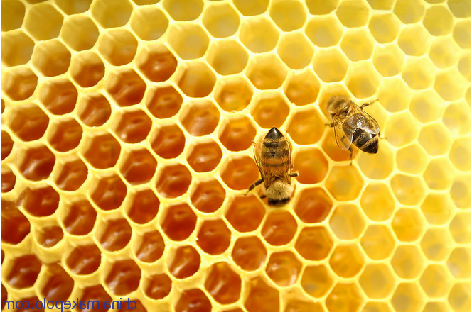 1488330124640921.png 100014402559_14149893983669.png