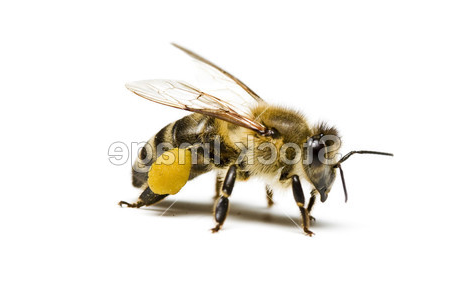 1488353746115644.jpg 12bOOOPICe9.jpg